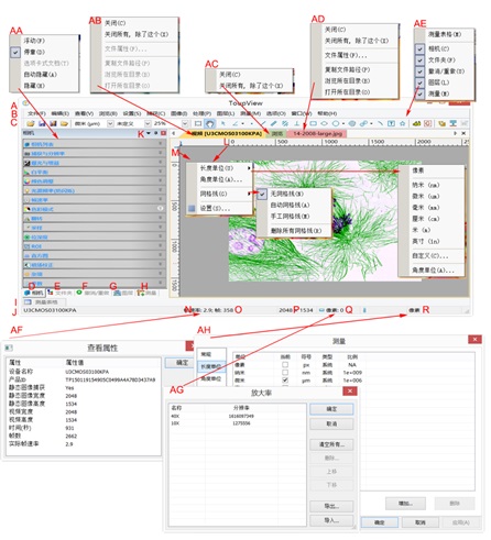 西城偏光显微镜摄像头测量软件toupview视频窗口介绍