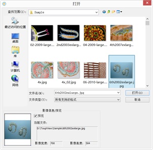 西城偏光显微镜摄像头测量软件old-sg文件-打开图像详解