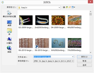 西城偏光显微镜摄像头测量软件toupview文件-保存详解